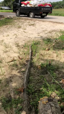 Seuyuh ini gen rasa handak bulik kerumah #semangat#keluarga#fyp#trending#kerja