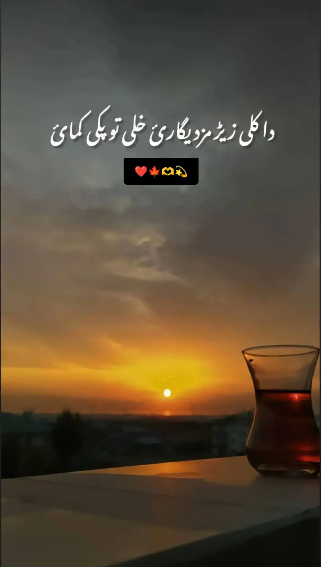 #poshtosong  #poshto_poetry  #unfreezemyacount  #foryoypage  📸 Training tips:  🏡 Home environment:  🛋️ Favorite spots:  🌙 Time of day:  💖 Bonding moments:  📅 Adoption story:  🧸 Favorite toys:  🌟 Special skills:  🐕 Daily routine:  🍖 Treat ideas:  📖 Fun anecdotes:  🤝 Relationship with owner:  🗓️ Milestones achieved:  💬 Reflections on companionship: 🌅 Sunset timing:  📍 Town name:  🏡 Local highlights:  🌾 Field characteristics:  🎨 Color palette:  🌌 Sky reflections:  🌻 Nearby flora:  🏞️ Visitor recommendations:  📸 Photography tips:  🥂 Evening activities:  🎶 Sounds of nature:  🙏 Personal reflections:  🗺️ How to explore:  🏕️ Camping spots:  🍂 Seasonal changes:🌙 Nighttime atmosphere:  🌳 Nature's tranquility:  📸 Photography tips:  🎶 Soundtrack of the night:  🗣️ Personal stories:  🕒 Time spent here:  🌌 Moon details:  🧡 Emotional connections:  🏞️ Surrounding landscape:  🧩 Symbolism of swinging:  📖 Memories associated:  🌟 Star visibility:  💭 Reflective thoughts:  📍 Location significance:  🎈 Reasons for this moment: 🌙 Moonlit scenery:  📍 Location details:  🌄 Time of day:  🌌 Starry sky elements:  🌳 Nature surroundings:  🧘‍♀️ Personal reflections:  🎶 Music playing:  📸 Photography tips:  💭 Thoughts on tranquility:  🌟 Nighttime activities:  🔥 Surrounding warmth:  ⛺ Nearby camping spots:  📅 Memorable moments:  🤝 Companion's presence:  📖 Story behind the photo: 🌅 Sunset colors:  🐦 Bird species:  💭 Personal reflections:  📍 Location details:  🖌️ Artistic techniques:  🌊 Water reflections:  🌳 Natural surroundings:  📅 Time of day:  🌟 Overall impression:  🎨 Emotions conveyed:  💬 Quotes that inspire:  🏞️ Nearby attractions:  🤔 What inspired you?:  🎆 Future art projects:  🌊 Ocean sounds:  📍 Location specifics:  📸 Photography tips:  🌳 Surrounding nature:  ⚓ Activities nearby:  🏖️ Beach access points:  🛶 Water sports suggestions:  🎣 Fishing opportunities:  🍹 Refreshments nearby:  📅 Best visiting times:  🏞️ Views from steps:  🧳 Packing recommendations:  💬 Personal reflections:  🏆 Photogenic spots: 