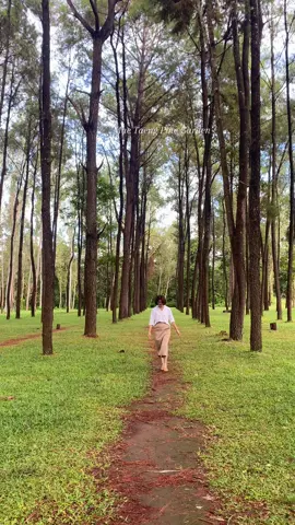 สวนสนแม่แตง อากาศดีมาก 🌲🌲 