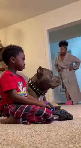 Listen to ur mama before I make u go to bed myself 👹 #funnyvideo #funnyanimals #sora #sora2 #viral 