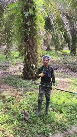 alhamdulillah sudah memilih pekerjaan yg cocok pada saat sekarang ini #kingjm