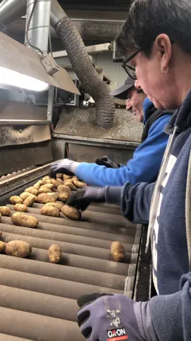 #nuimiefrucadebaubau #