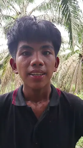 gaji selama kerja satu bulan guys bersyukur ya guys#fyp #gajipemanensawit#fypage #trending 