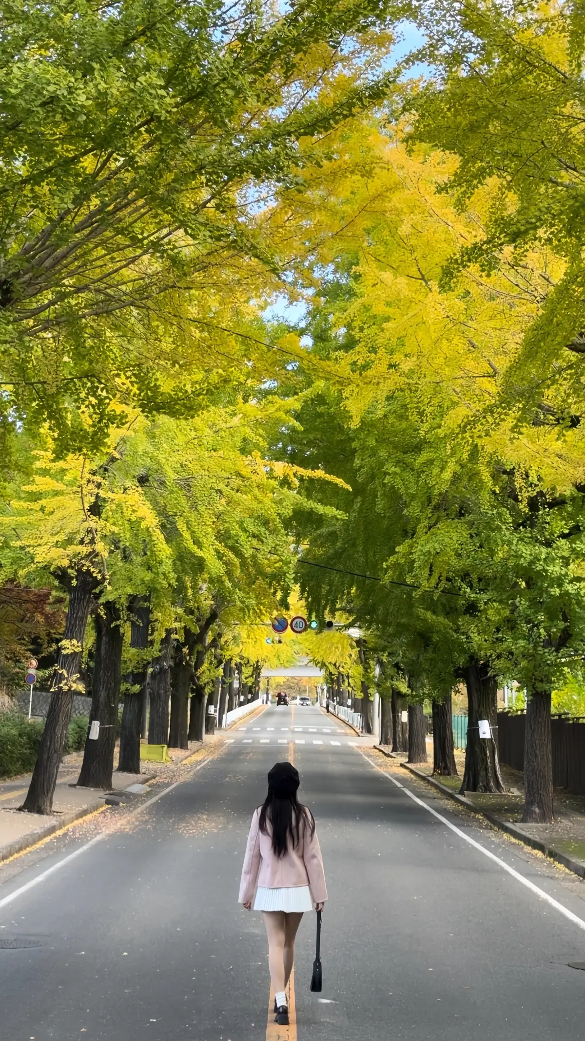 #tenri #nara #xuhuong 