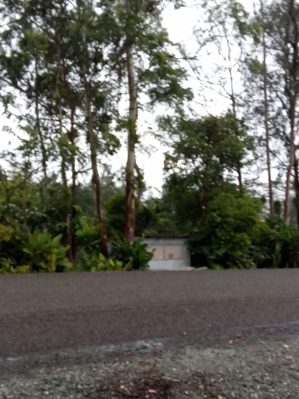 Welcome Home Safe at Last.UOG WHP Students 😭💔 