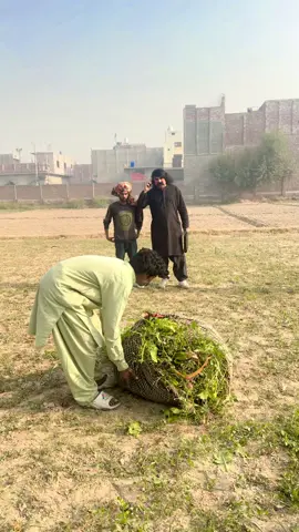 #foryoupage❤️❤️ #unfrezzmyaccount #viralmyvideo #thanks tiktok#trading vidio for uuuuuu