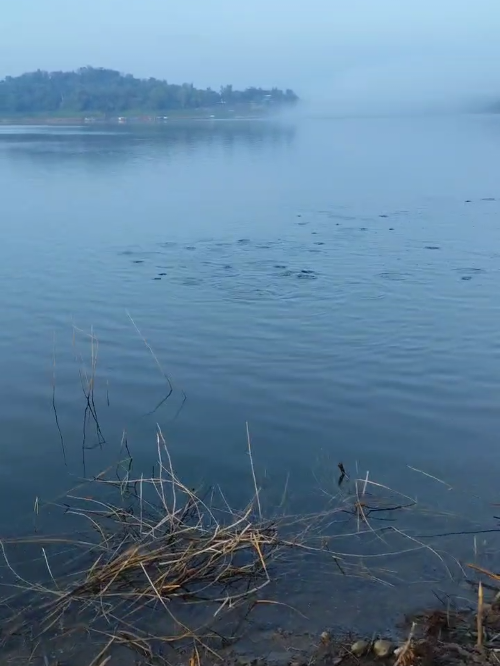 Waduk nya Mendidih Bolo🎣🤣Full Bocah iwak🙆‍♂️ #mancingmaniamantap🐟🎣 #mancingmaniamantap #mancingliar #umpantawes #pecutan #rawitpecutan #wadukwadaslintang #ikanbalar #rawit #mancingpecutan 