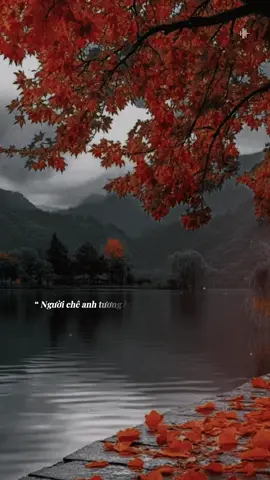 “ Người chê anh tương lai còn dở dang… #tramnhachay_0203 #BKmuzic  #teddyentertainment  