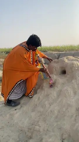 Snake in small hole #wildanimals #viralvideos #foryou 