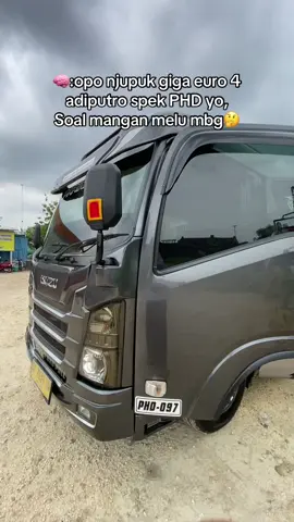 Iso po ra yo🤔  @Bagus Pee   @phdtrans #isuzuelf #phdtransnganjuk #adiputrophd #adiputrokaroseri 