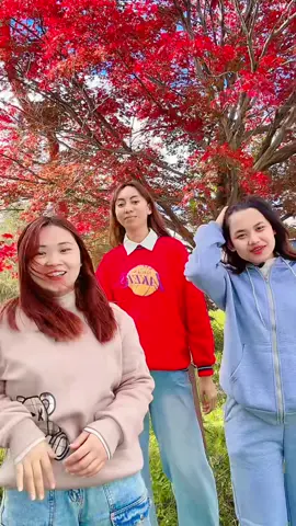 #itsmeshikha❤️ Hamro pani aayo hai vedio @Alina kunwar @Sakina chaudhary #🎌🎌trandingsong🖤🖤 