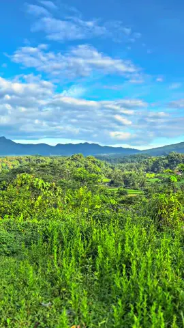 Pesona Alam Tasikmalaya 😍#pesonaalamindonesia #alamindonesia #tasik #tasik 