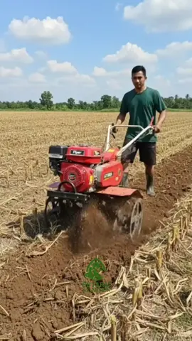 Traktor mini GT 800 barange jos jis ngirit bahan bakar lur. Traktor mini ini juga bisa digunakan di media tanah keras. #tigergt800 #cultivator #traktormini #petani #petanimuda 