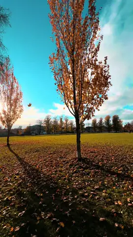 #canada🇨🇦 #vancouver #foryoupageofficiall #viralpleaseシ 