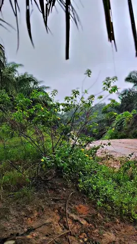 menghargai cuaca 😇 #fyp #capcut #kulisawit 