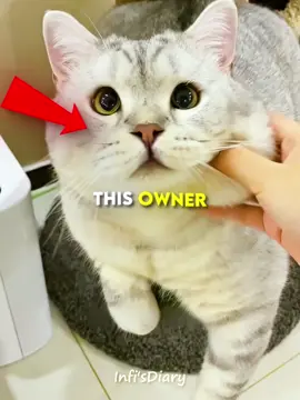 #fypシ゚viral #trendingvideo #like?follow? #usa_tiktok #supportmeallguys🥀💟 