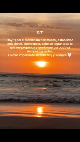 11/11 🤍 #1111  #abundancia  #felicidad  #prosperidad  #pazmental 