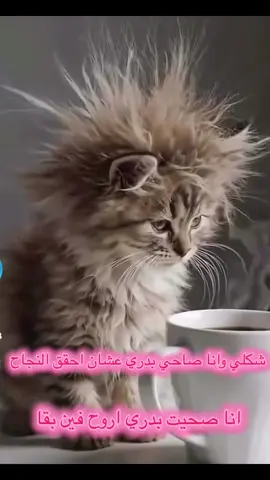 لو عايز تنجح اصحا بدري #انا صحيت بدري اروح فين بقا 