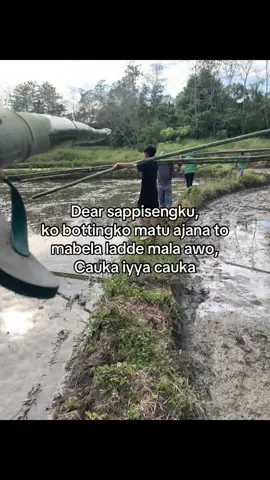 Ampung#fyp #viral #fypmasukbranda #bugispride🏝️🔥 #katakatabugis 