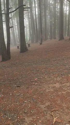 #fouryou #onthisday #algeria #chrea_blida09 #fyppppppppppppppppppppppp 