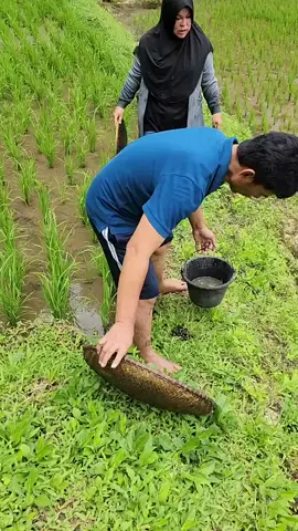 #ayahlestikejora #lestykejora #lestilovers #leslar #fypシ 