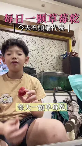 今日草莓乾吃播小幫手 #石頭綸 #神之手卉蕎  #槿心家族  #草莓乾 