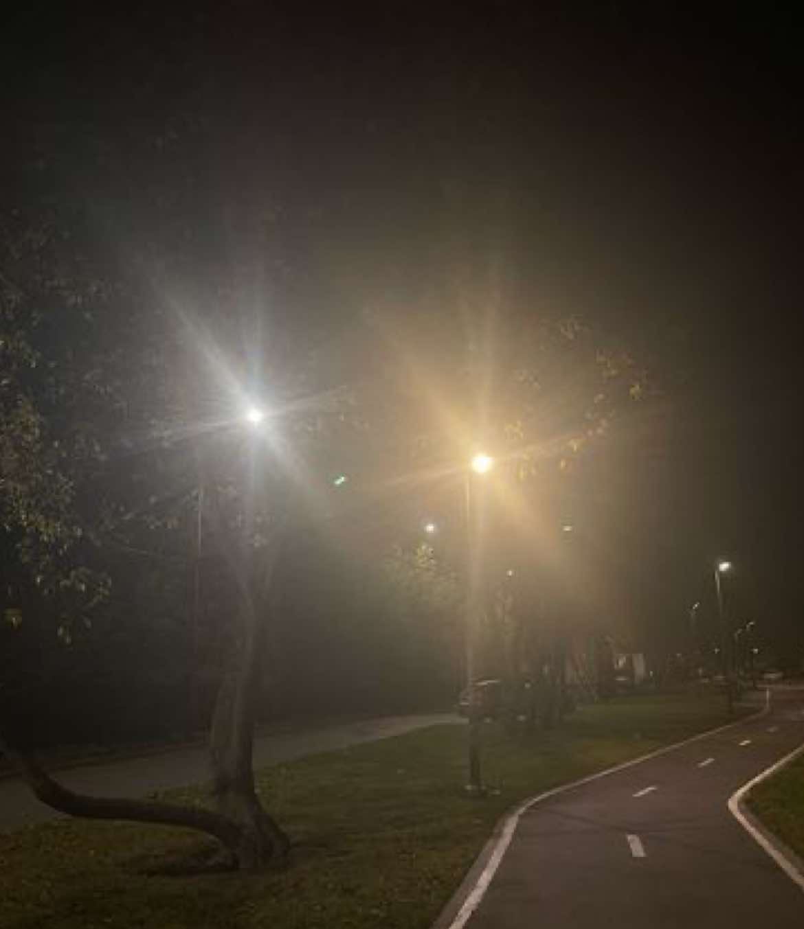 Lil Peep+Pharaoh Unplugged 2:Love Kilks and Star Shopping // #lilpeep #pharaoh #lyrics #lyricsvideo #music 