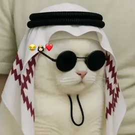 Only gaaBo😍❤️👸🏻#❤️🎀🚩 #Sienna❤️🎀 #viewsproblem😭😭😭 #viewsproblem😭😭😭 #followme😭 