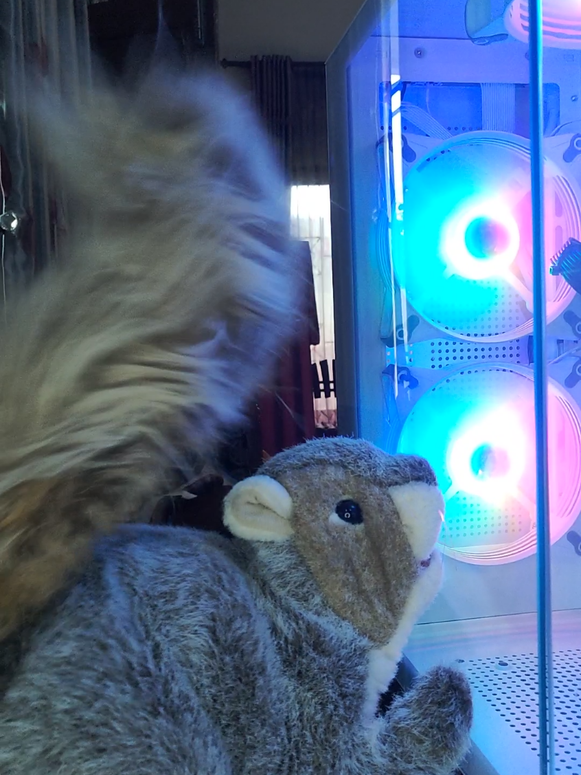 bungkus ngaakk!!!! #joget #pulen #geol 