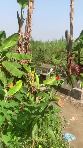 কাজ করার সময় কেমেরা নিয়ে হাজির🙃#postviralシ2025#vairalvideo#like#