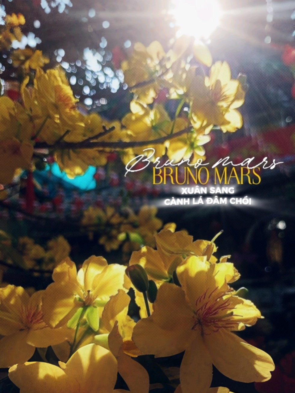 XUÂN SANG CÀNH LÁ ĐÂM CHỒI #CapCut #lyrics #dtn130 #capcutpioneer #pioneertemplate 