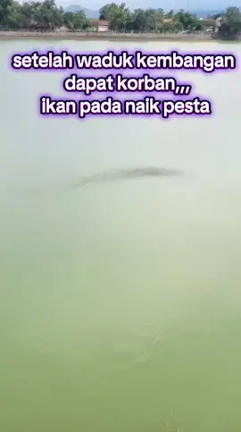 #sragen24jam #lakaair 