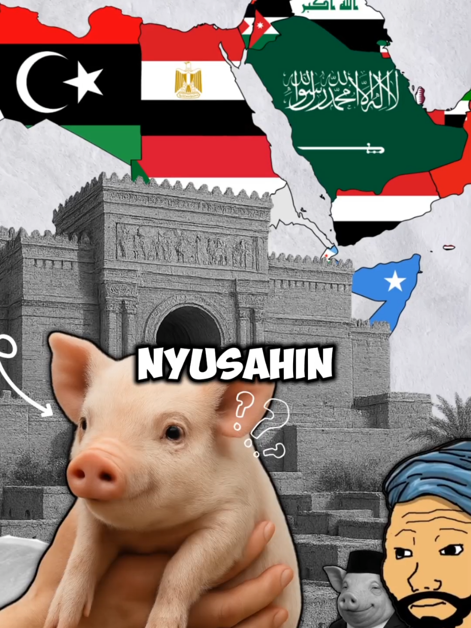 Babi Dilarang Awalnya Karena Nyusahin⁉️🤯 #informasi #indonesia #makanan #sejarah 