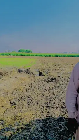 #foryoupageofficiall❤️❤️tiktok👑💯👑 #❤️پنڈاں_آلے_جٹ❤jutt 