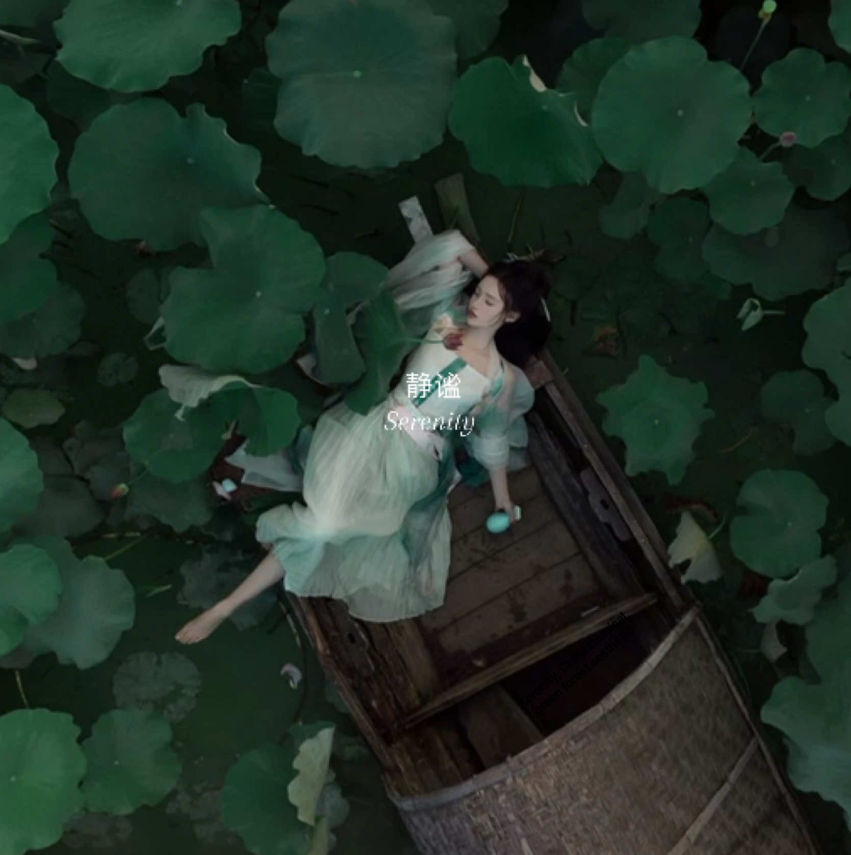 静谧 — Serenity. If this appeared for you, the algorithm chose you. This is your vibe. Maybe you’re someone who finds comfort in silence, loves the rain, and enjoys being alone.  You probably appreciate traditional Asian aesthetics and classical China, so interact with the video to stay on this side of TikTok. This is your sign to claim the energy and cleanse your fyp. 𓆝 𓆟 𓆞 𓆝 𓆟 #china #rain #water #japan #fyp 