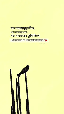 গত নভেম্বরের তুমি ছিলে, এই নভেম্বরে না থাকাটাই স্বাভাবিক।❤️‍🩹😊 #bdtiktokofficial🇧🇩 #tiktok #viralvideo #growmyaccount✅ #trendingvideo @TikTok Trends @TikTok 