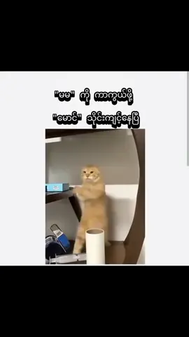 🤭🤭🤭#ဟာသလေးများ🤣🤣🤣 #crd #for #car 