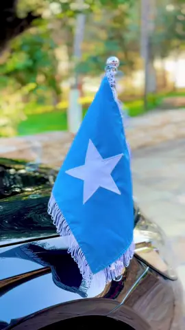 Booqashada Rasmiga ah ee Madaxweynaha JFS @Hassan Sheikh Mohamud ee Dalka Aljeeriya ayaa maanta si rasmi ah bilaabatey. #alidualle #MUQDISHO #tiktoksomalia🇸🇴 #VillaSomalia #my252🇸🇴 