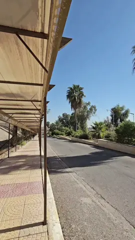 الخميس محد مداوم اضراب جماعي🤣#التقنية_الشمالية #الامن_السيبراني #المعاهد #الموصل 