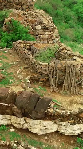 #في هذا اليوم 