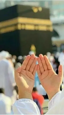 #kalma #jaldi#jaldi#viralvideo #foryoupage 