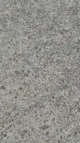 #5tlgank🚀 #ring17style #vietnamstyle🇻🇳 #mio #miosporty #zxycba #fyppppppppppppppppppppppp #masukberanda #miopink #fyp #fypシ゚viral 