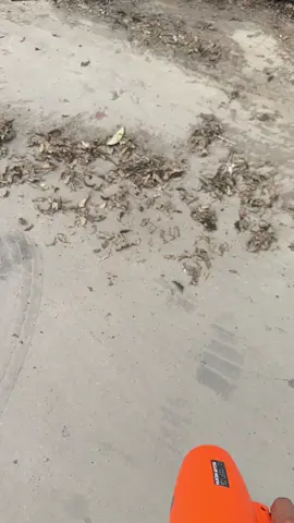 Máy thổi phản lực hukan mẫu mới khoẻ rẻ và tốt