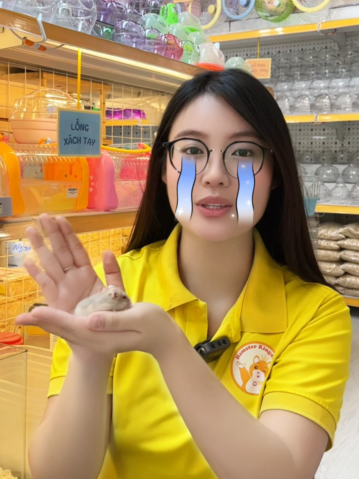 Bị hamster cắn là biến thành người chuột đóooo !!! #hamsters #hamsterdethuong #hamsterkingdom #fypシ゚ #cute