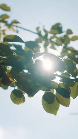 빼빼로데이 선물 처럼 찾아온 나의 최애소식🎁 🎯 작전명 : 최애를 구하라 나의 최애아이돌 구하기 대작전이 시작된다‼️ 올해의 마지막 심쿵 미션 💌 <최애를 구하라> D-7 ✨ ShortMax 11월 18일 전편 공개! ✨ #ShortMax #숏맥스 #최애를구하라 #최애대전 #최애