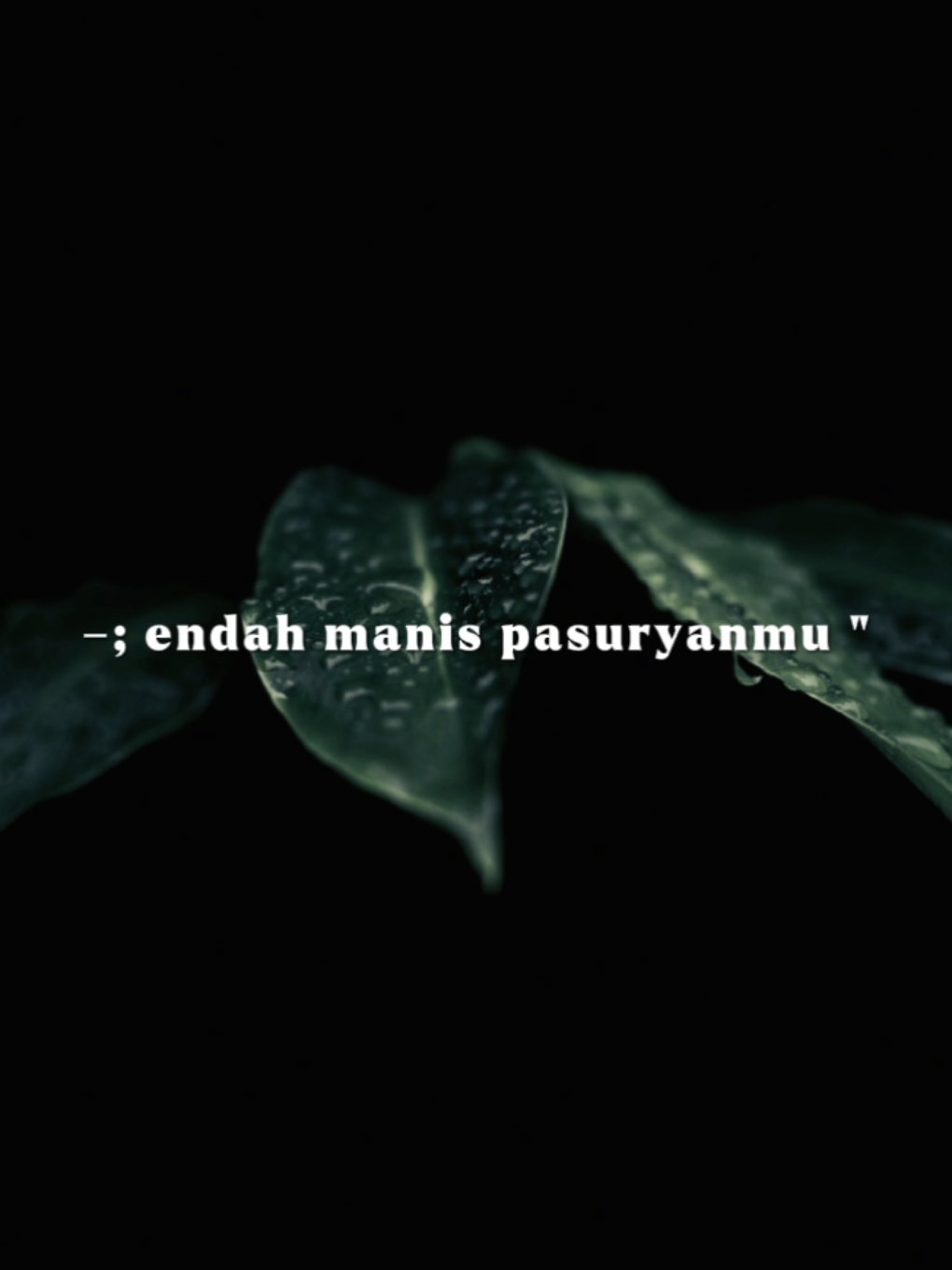 #capcuttrend - tak sawang - sawang, endah manis pasuryanmu🤏 #templatelirik #overlay @Sadewok004 