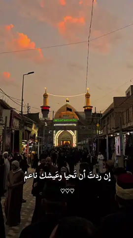 وفاة الأمام القاسم ابن الأمام الكاظم عليهم السلام قاسم الايمان والعطاء ان ردت ان تحيا وعيشك ناعم #القاسم_ابن_الكاظم #قاسم_العطاء #القاسم #وفاة_القاسم_بن_الامام_الكاظم💔🖤 #عظم_الله_اجورنا_واجوركم_بهذا_المصاب 