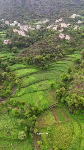 الأرض الطيبه - إب 🌳  الحزم - بني عبدالسلام - المحله  عدسة / حاشد القيدله