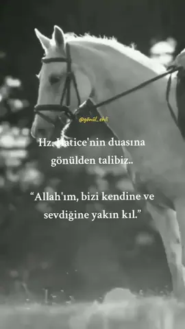 Kimse kimseden üstün değildir.        Dikkat edin hak sizi hür                     Yaratmışken              Hırs sizi kül etmesin... 