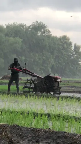 seger #fyp #traktorsawah #anggayhho #ponorogo24jam #petanimuda 